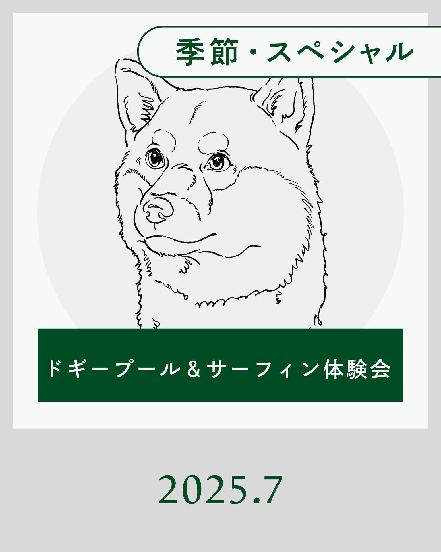 【7月】ドギープール＆サーフィン体験会開催
