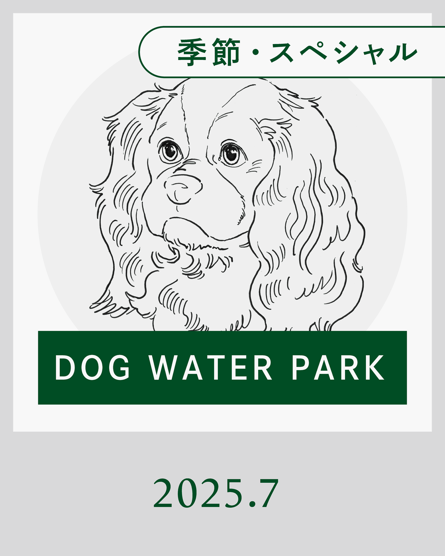 【7月】DOG WATER PARK 開催！