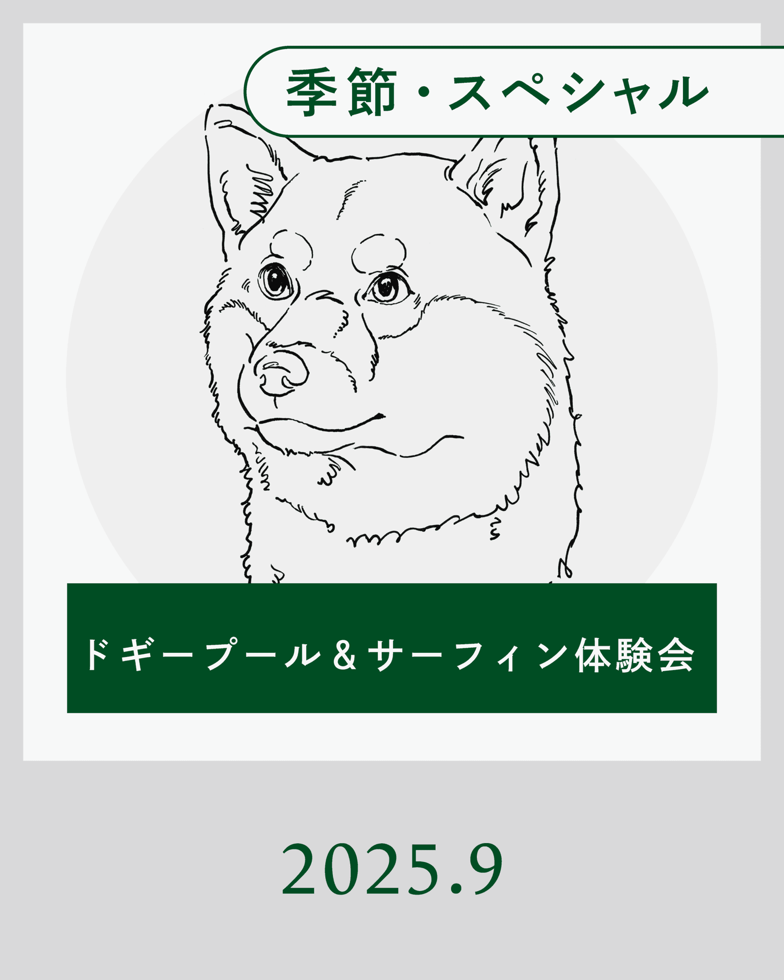 【9月】ドギープール＆サーフィン体験会開催