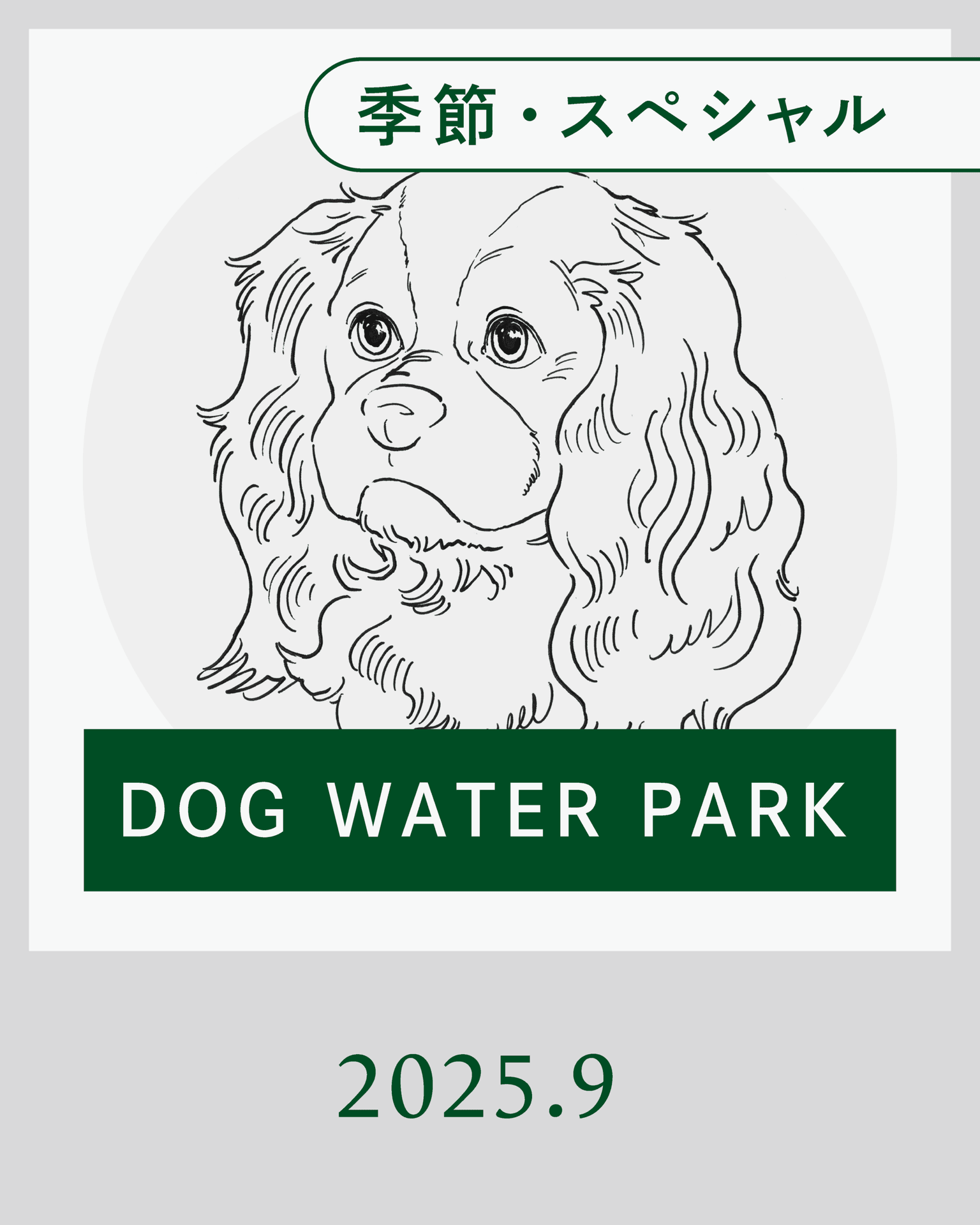【9月】DOG WATER PARK 開催！