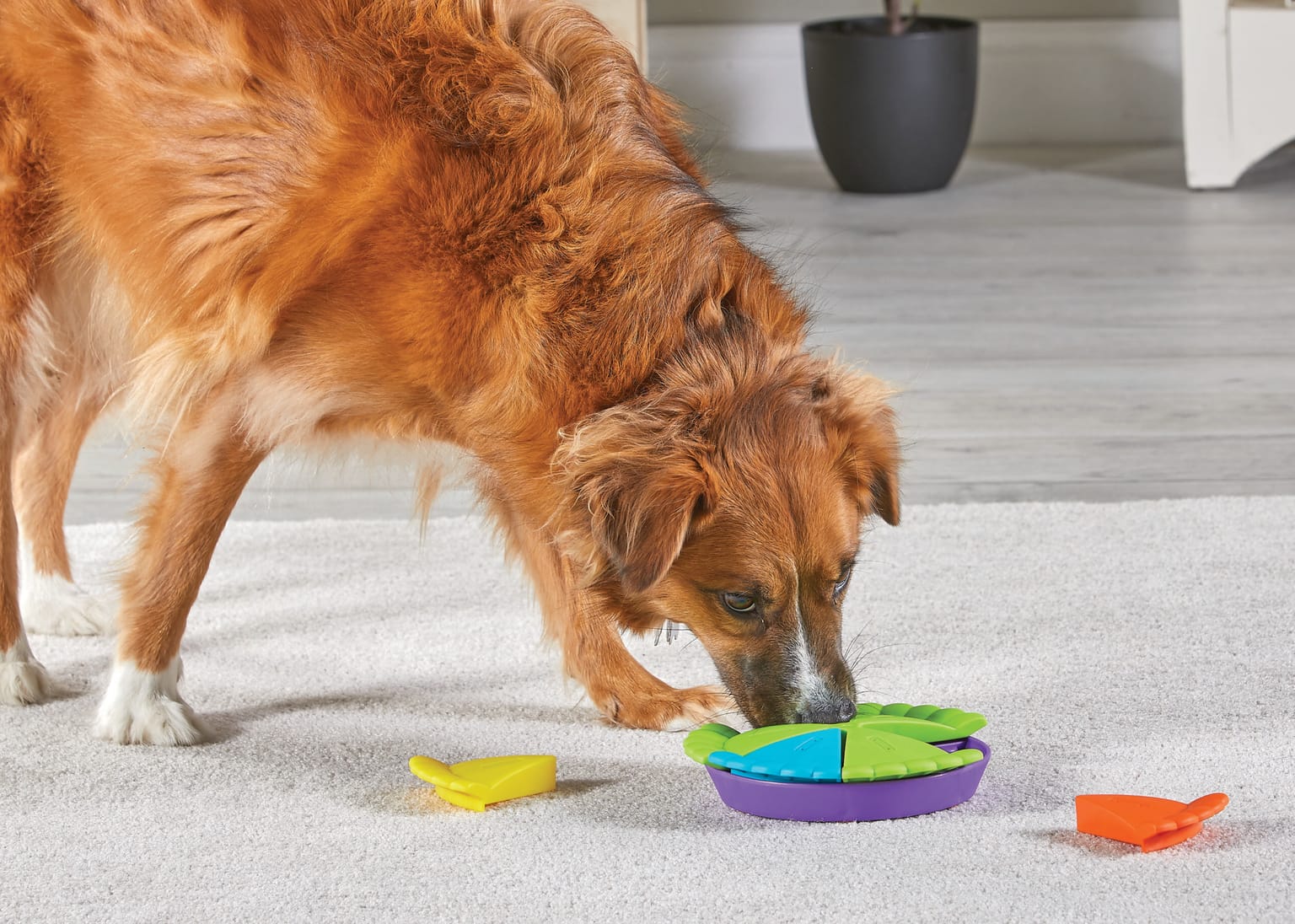 イベントアイキャッチ