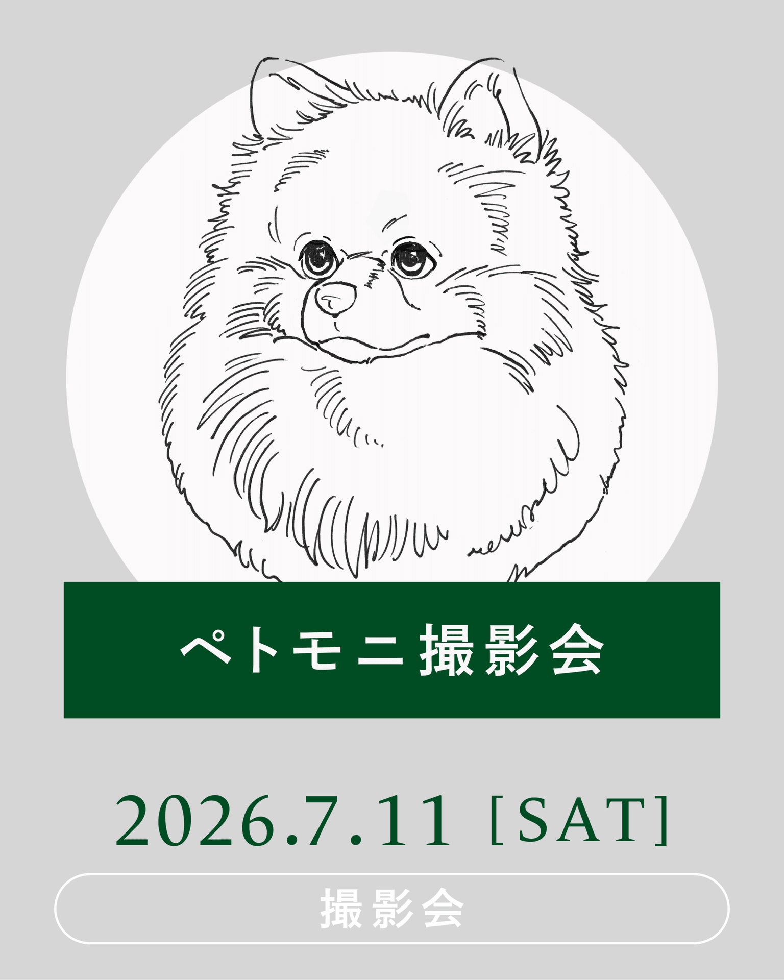 【2026年7月】 petomoni(ペトモニ)愛犬撮影会開催