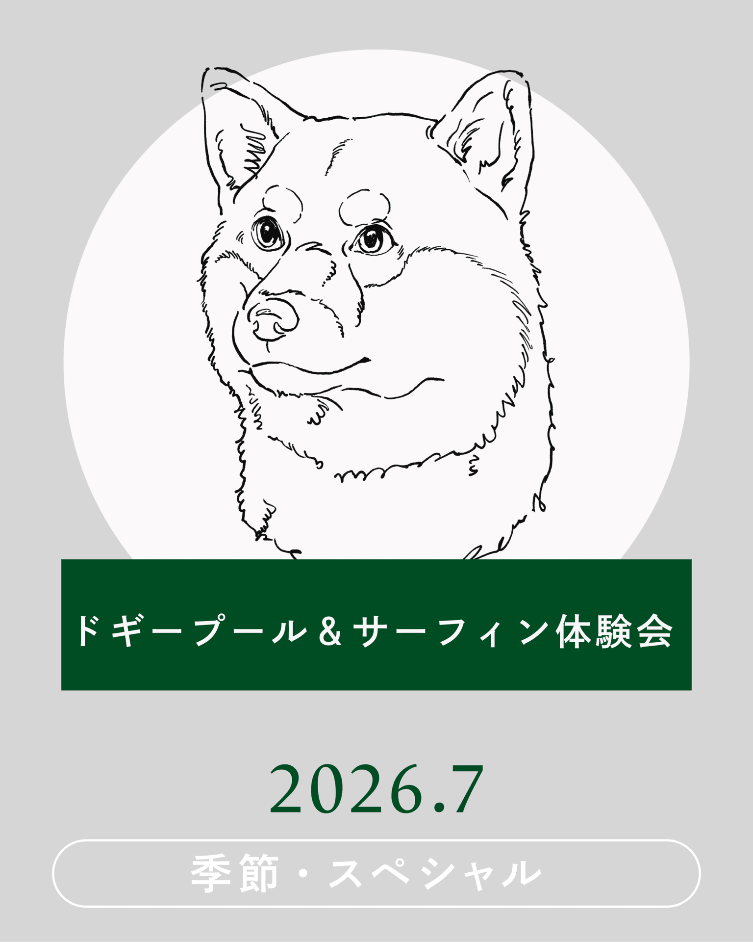 【2026年7月】ドギープール＆サーフィン体験会開催