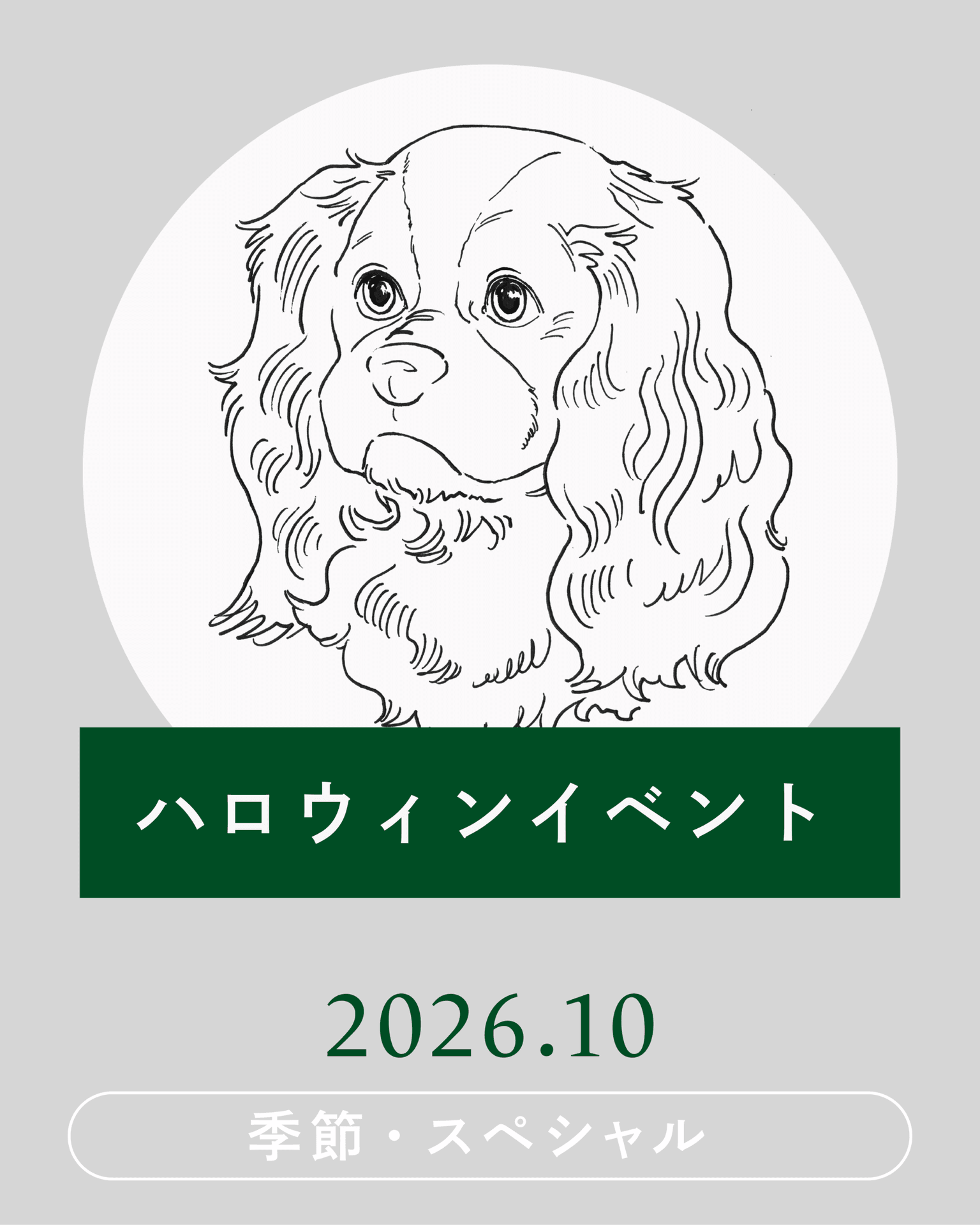 【2026年10月】ハロウィンイベント開催！