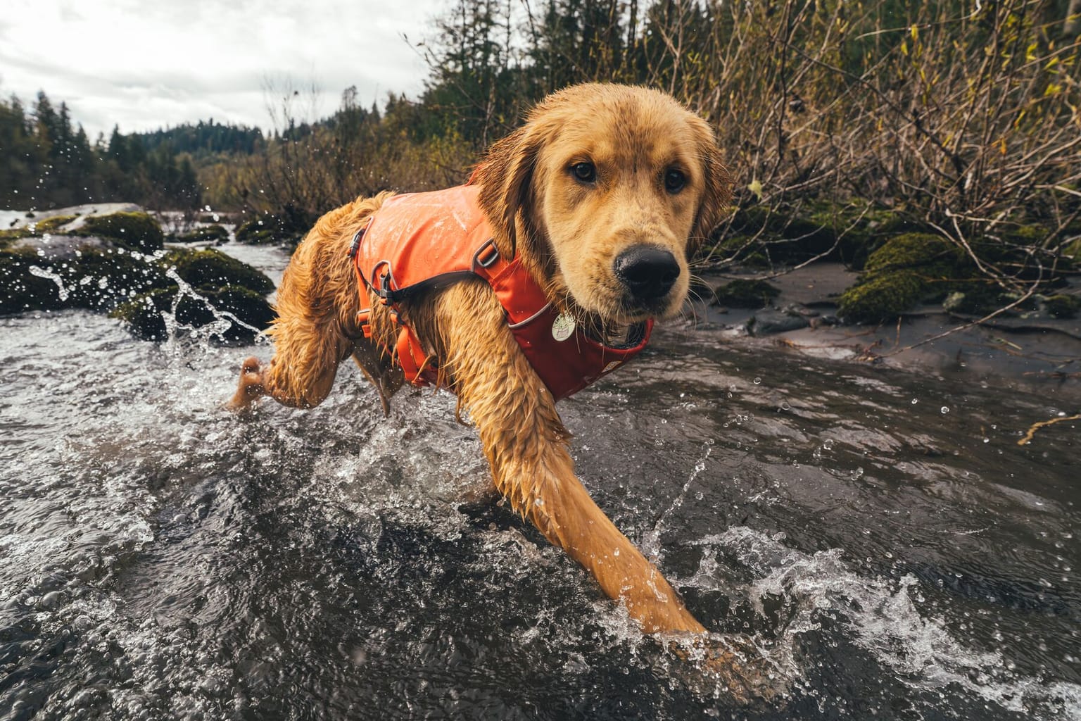 イベントアイキャッチ