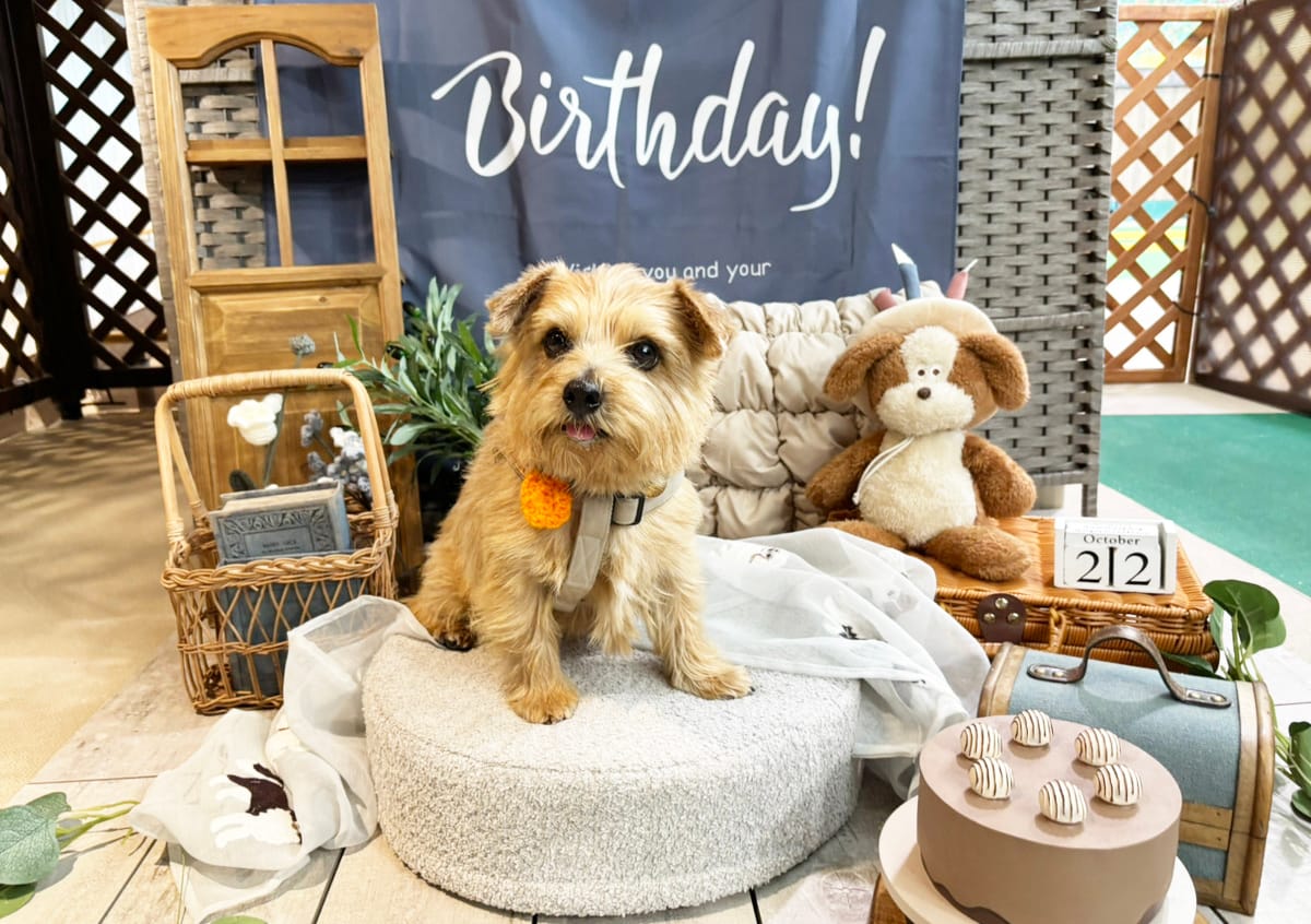 イベントアイキャッチ