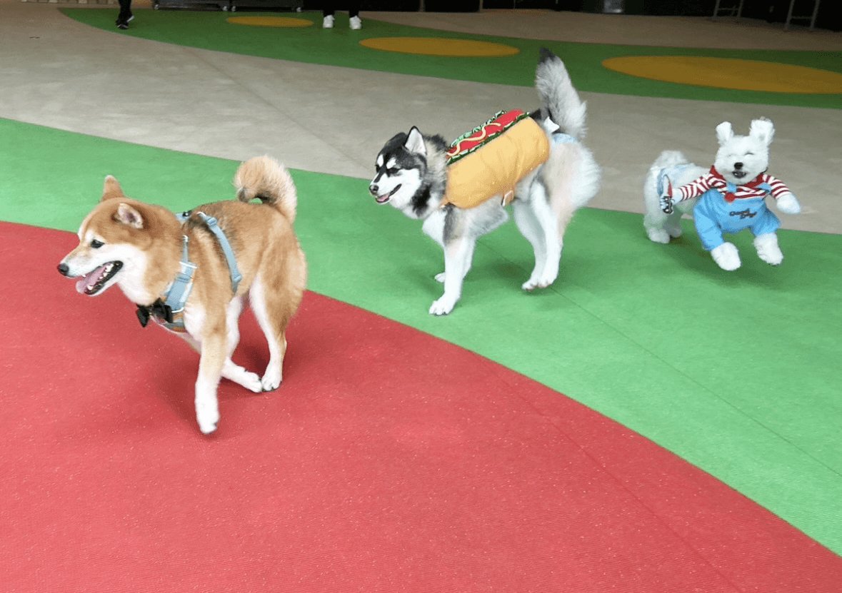 イベントアイキャッチ