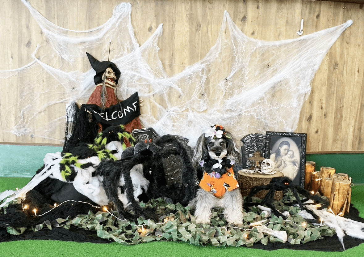 イベントアイキャッチ