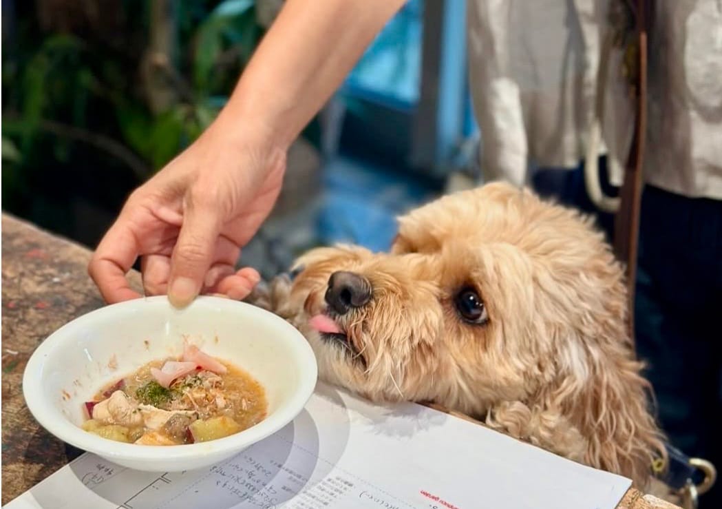 イベントアイキャッチ