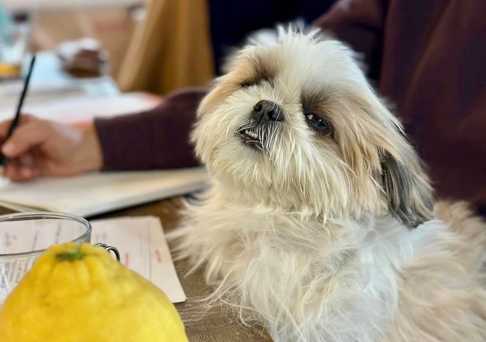 イベントアイキャッチ