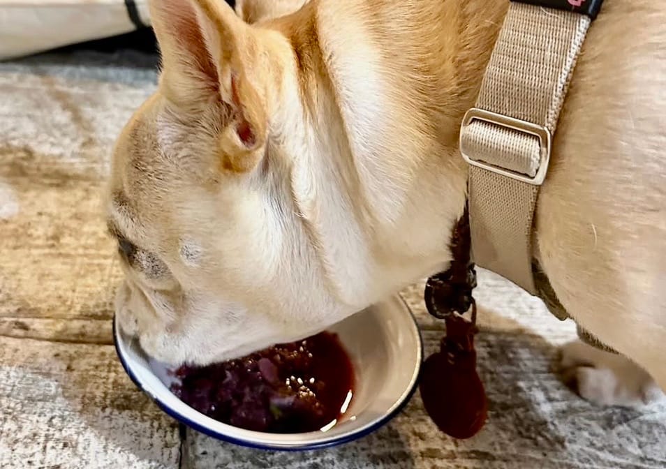 イベントアイキャッチ