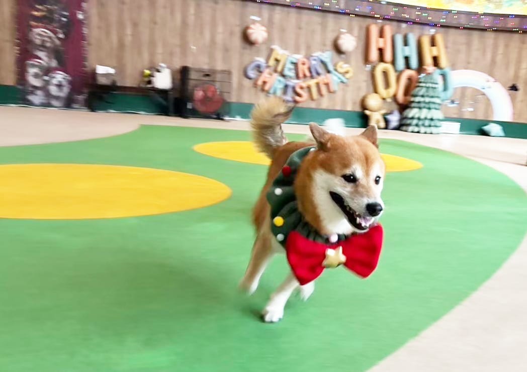 イベントアイキャッチ