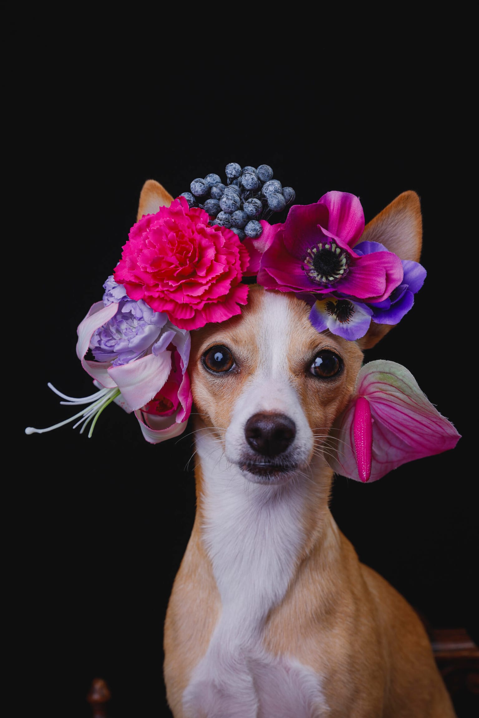 イベントアイキャッチ