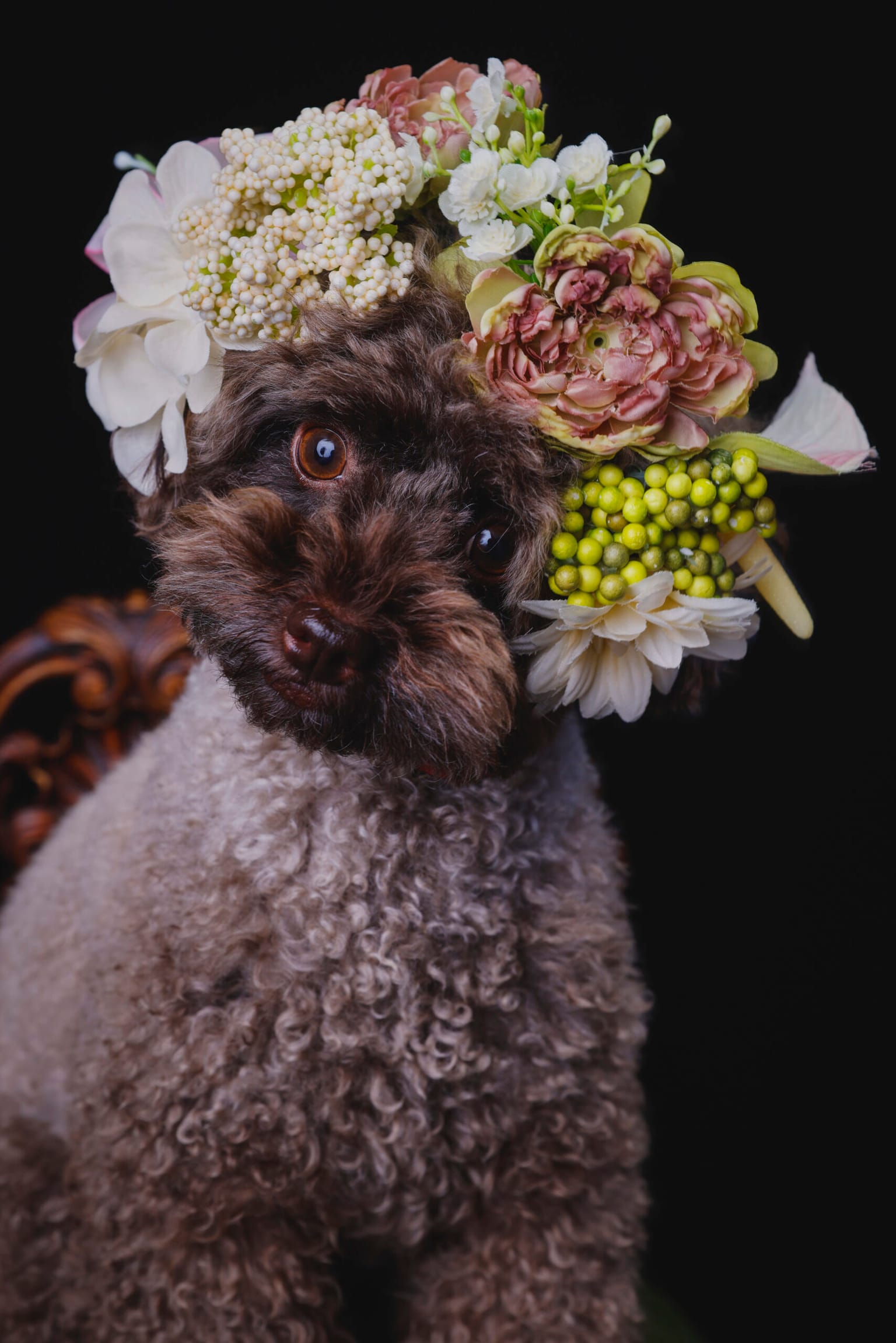 イベントアイキャッチ