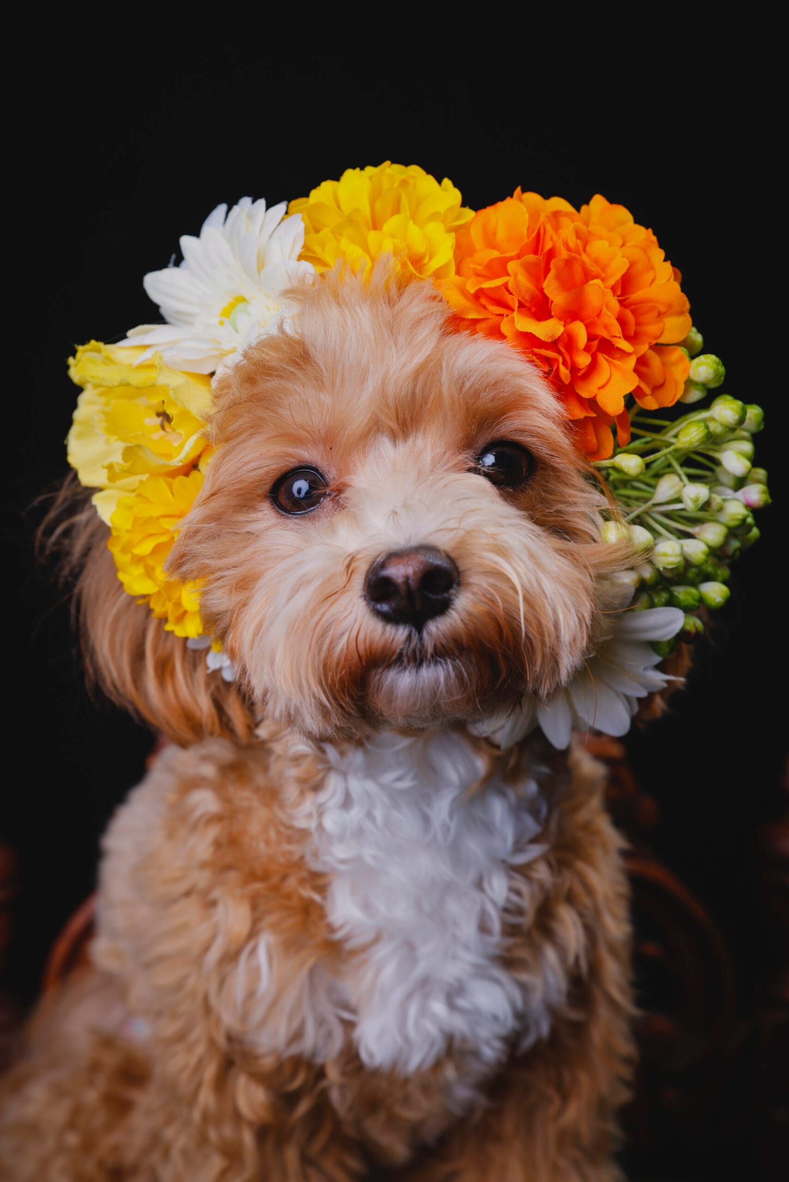 イベントアイキャッチ