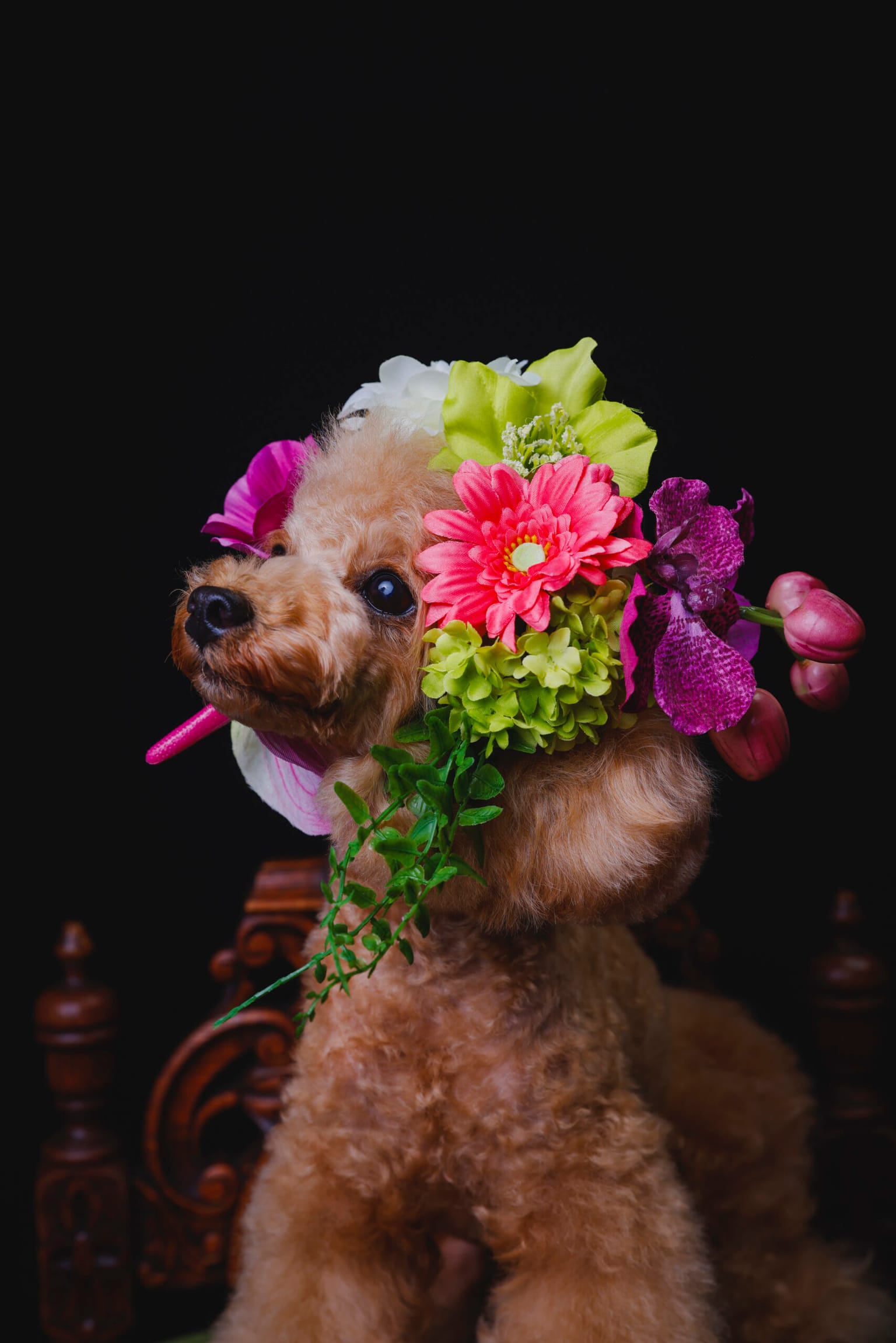 イベントアイキャッチ