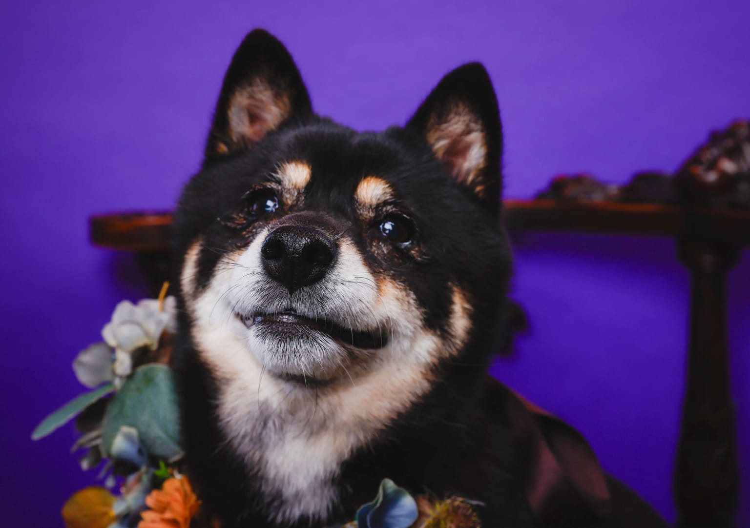 イベントアイキャッチ