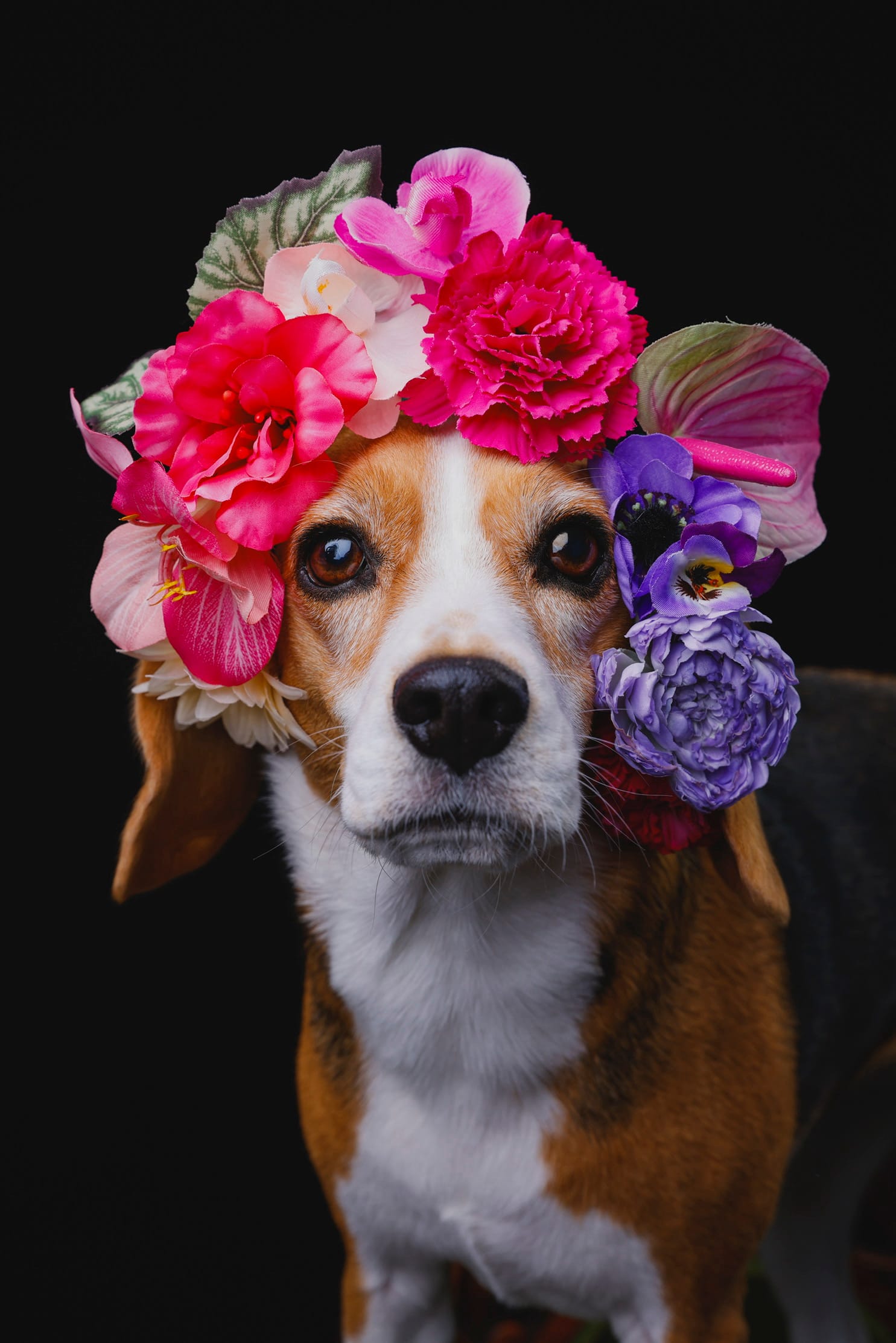 イベントアイキャッチ