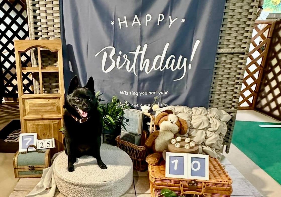 イベントアイキャッチ