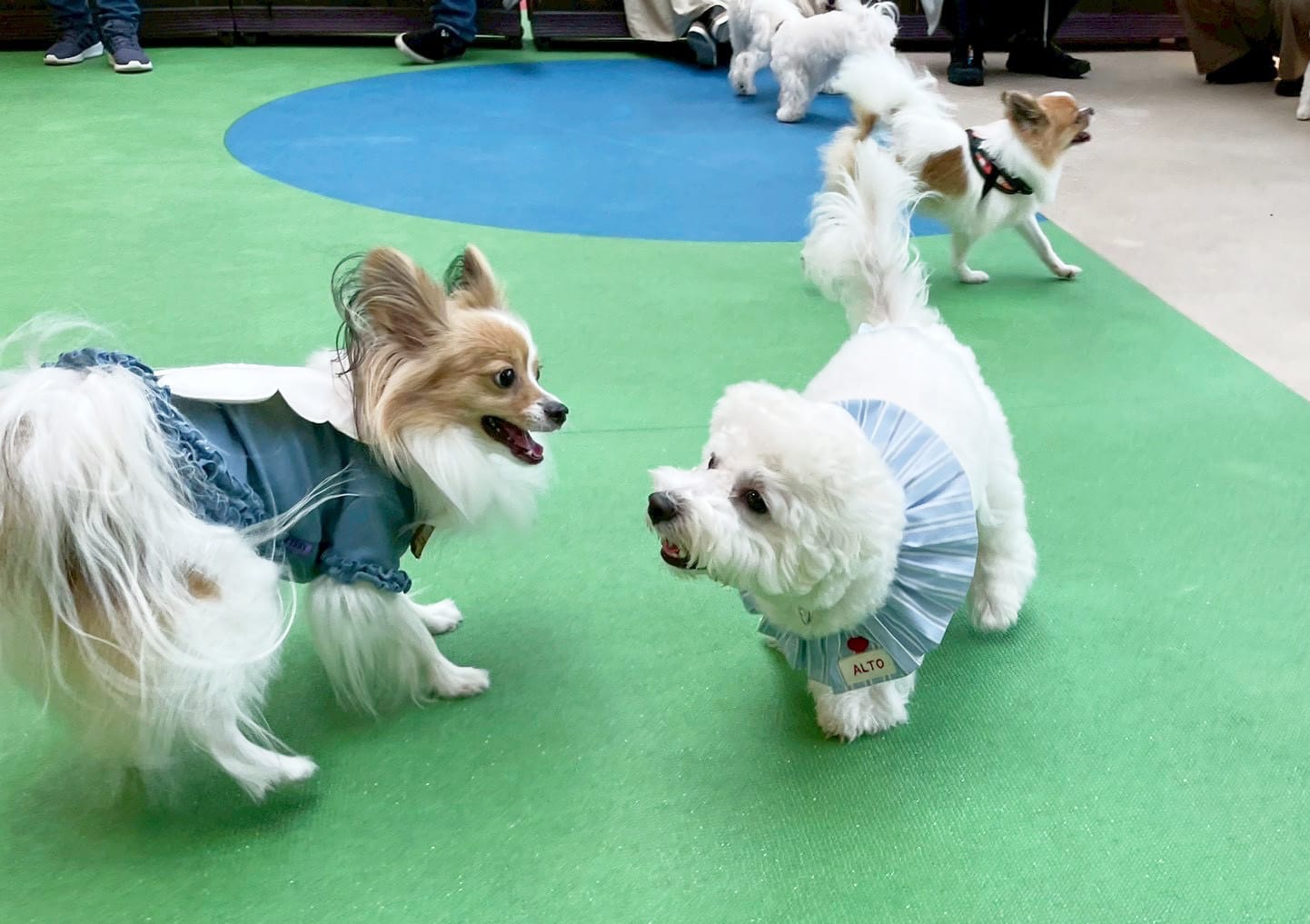 イベントアイキャッチ