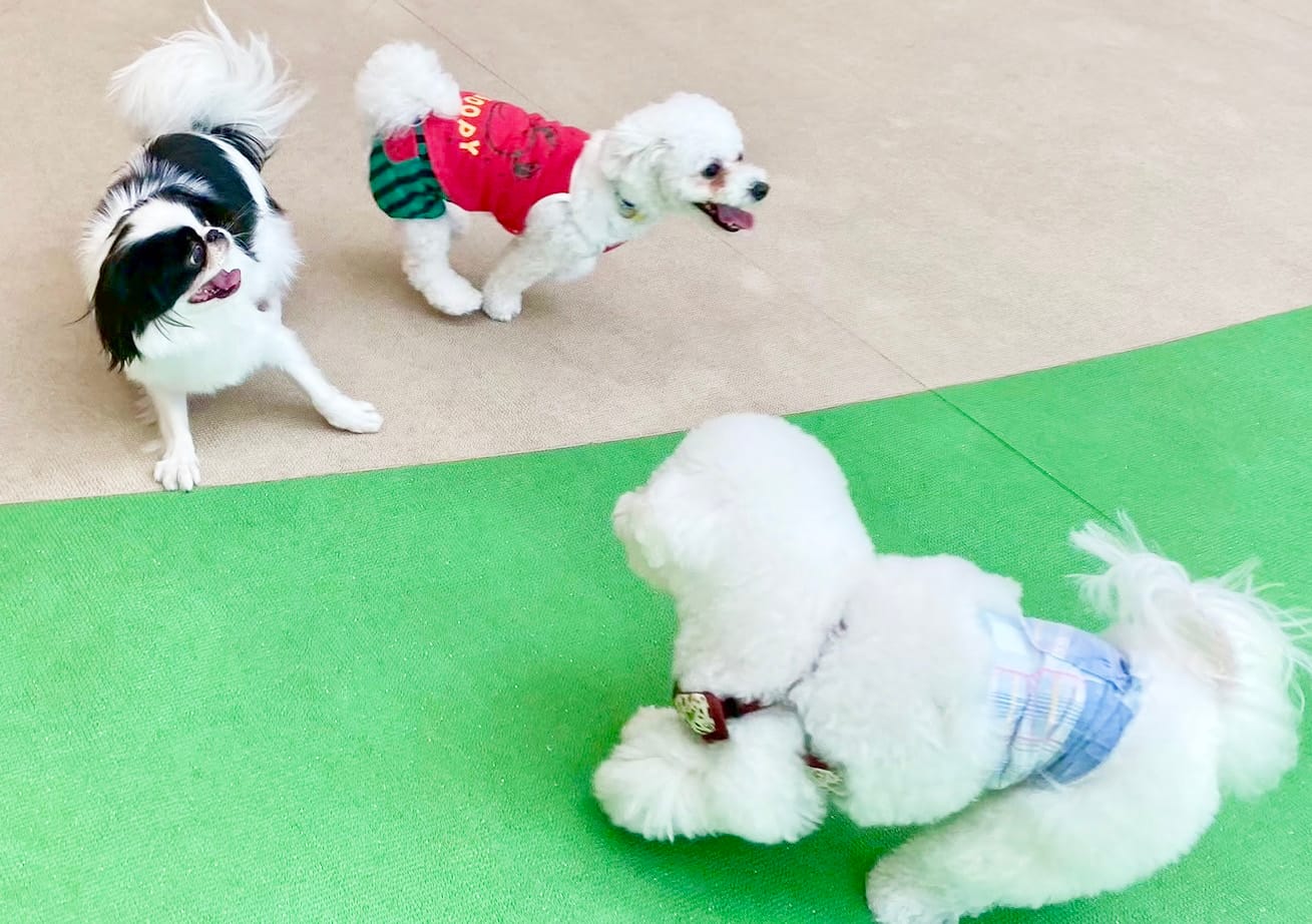 イベントアイキャッチ