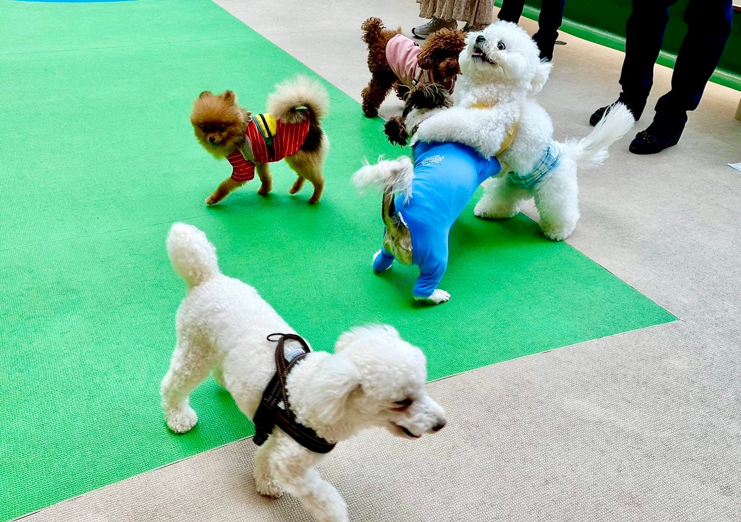 イベントアイキャッチ