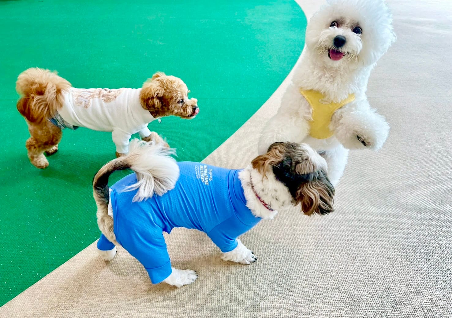 イベントアイキャッチ