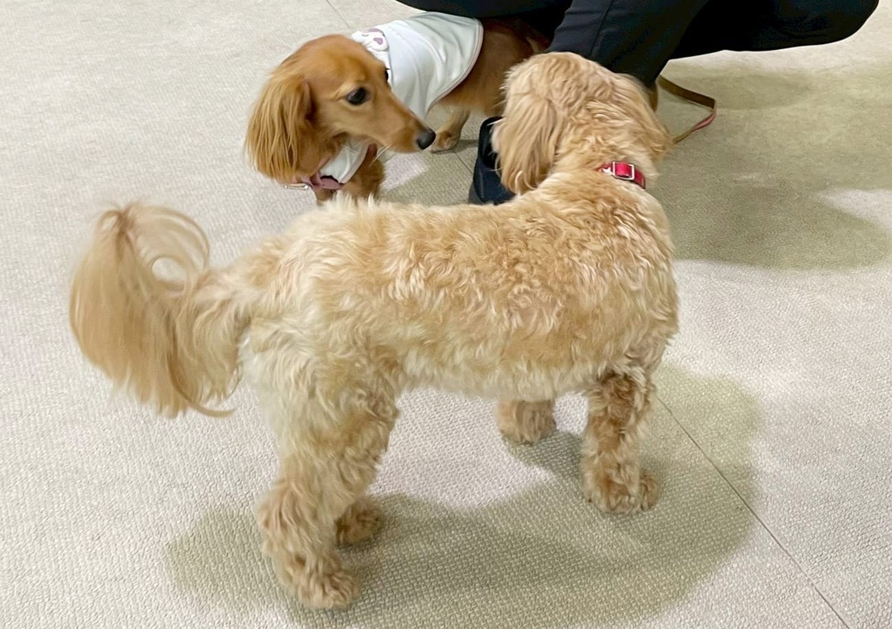 イベントアイキャッチ