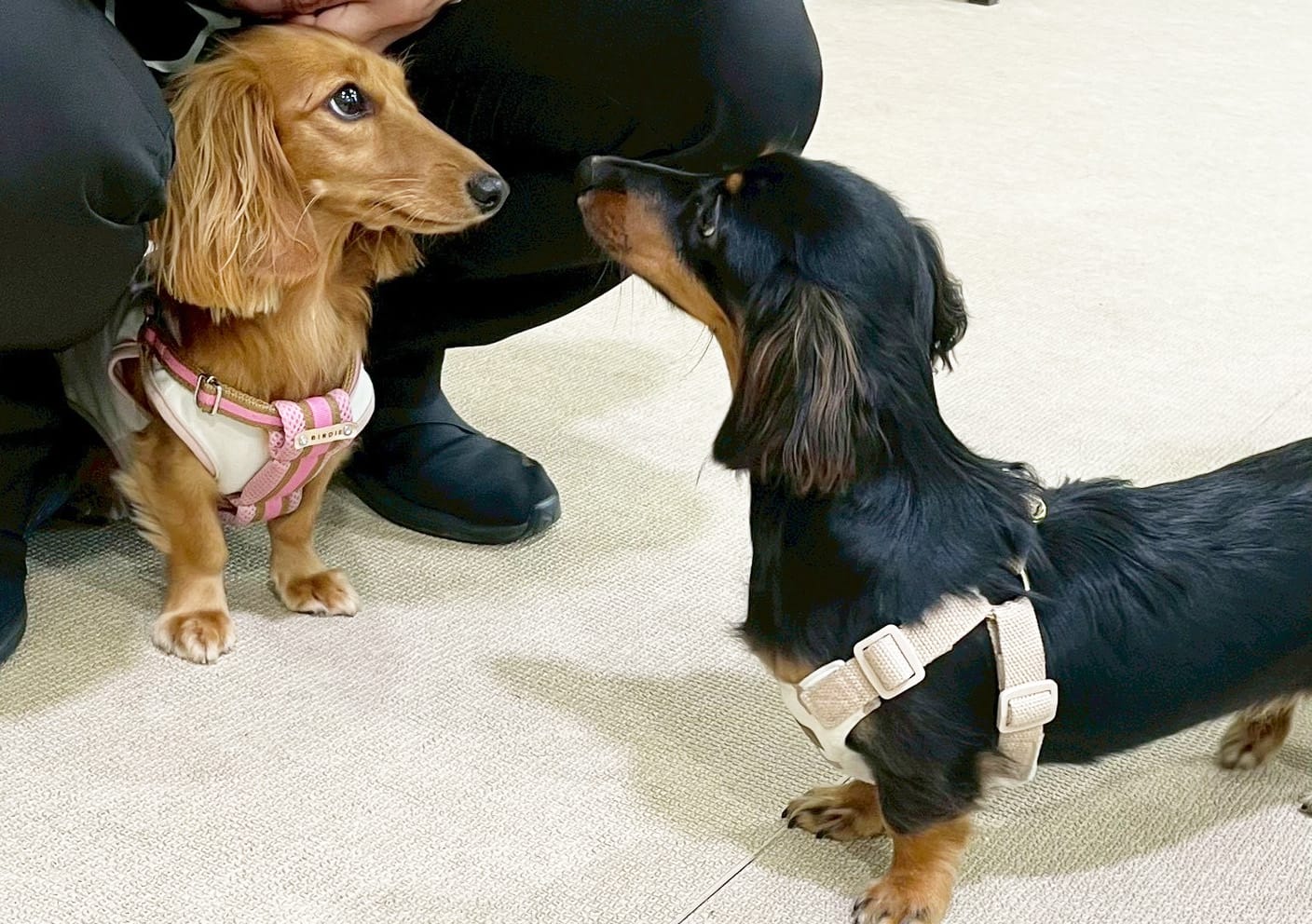 イベントアイキャッチ