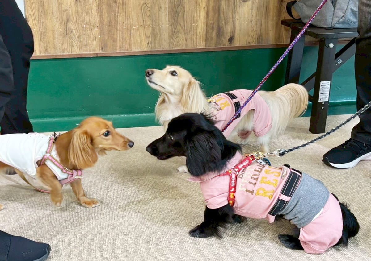 イベントアイキャッチ