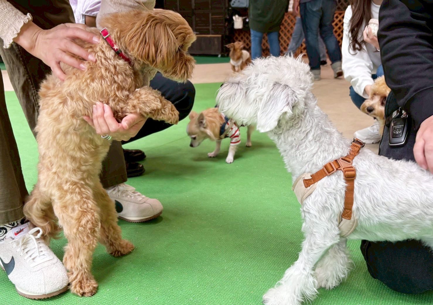 イベントアイキャッチ
