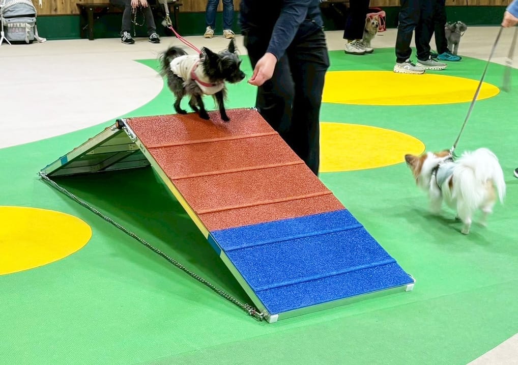 イベントアイキャッチ