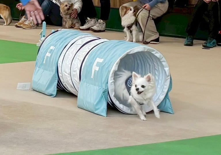 イベントアイキャッチ