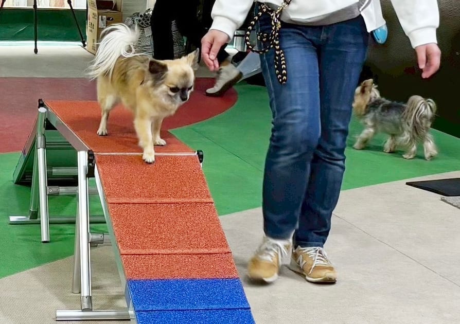 イベントアイキャッチ