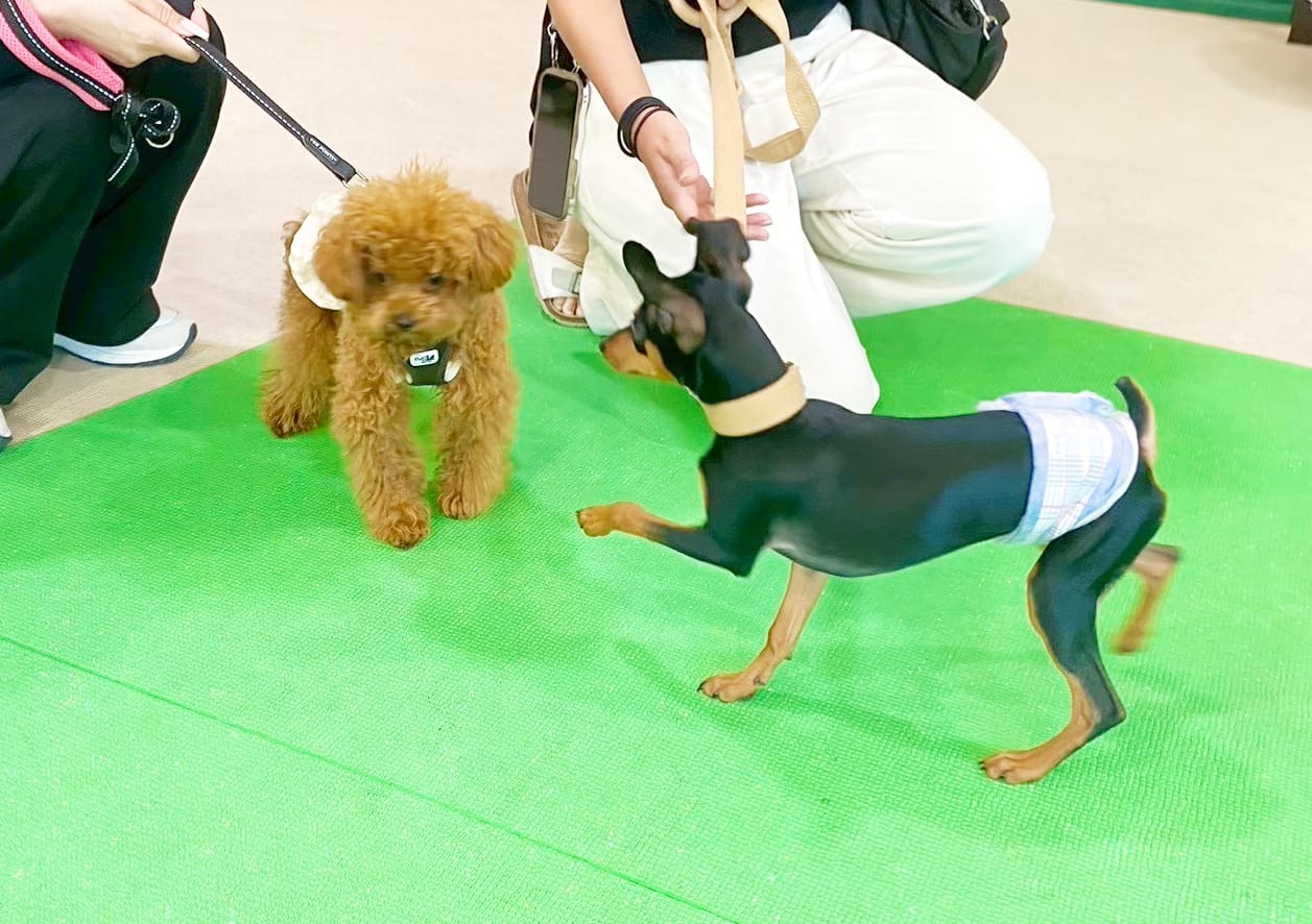 イベントアイキャッチ