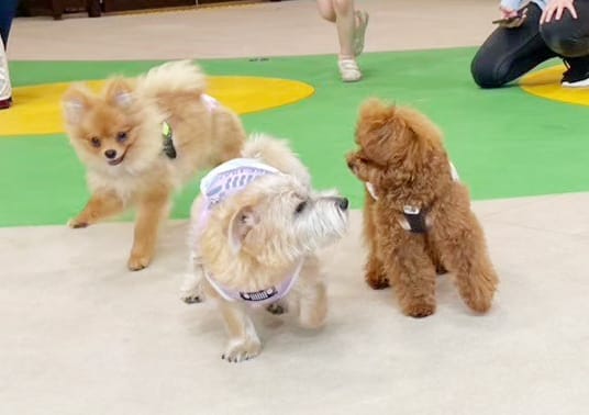 イベントアイキャッチ