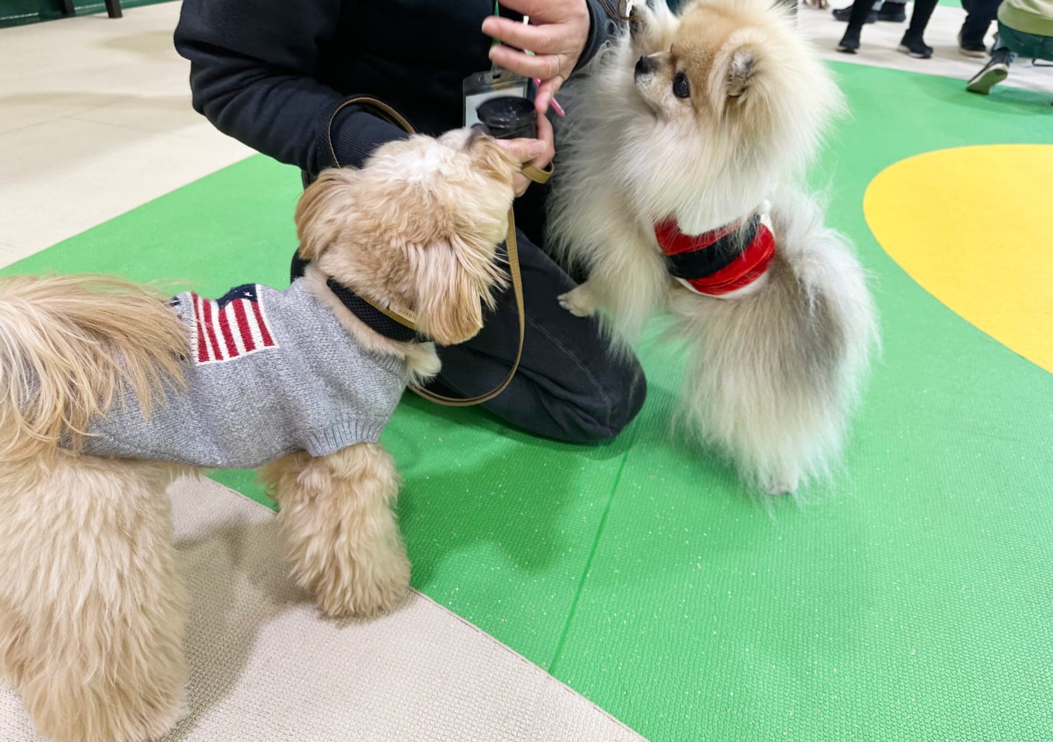 イベントアイキャッチ