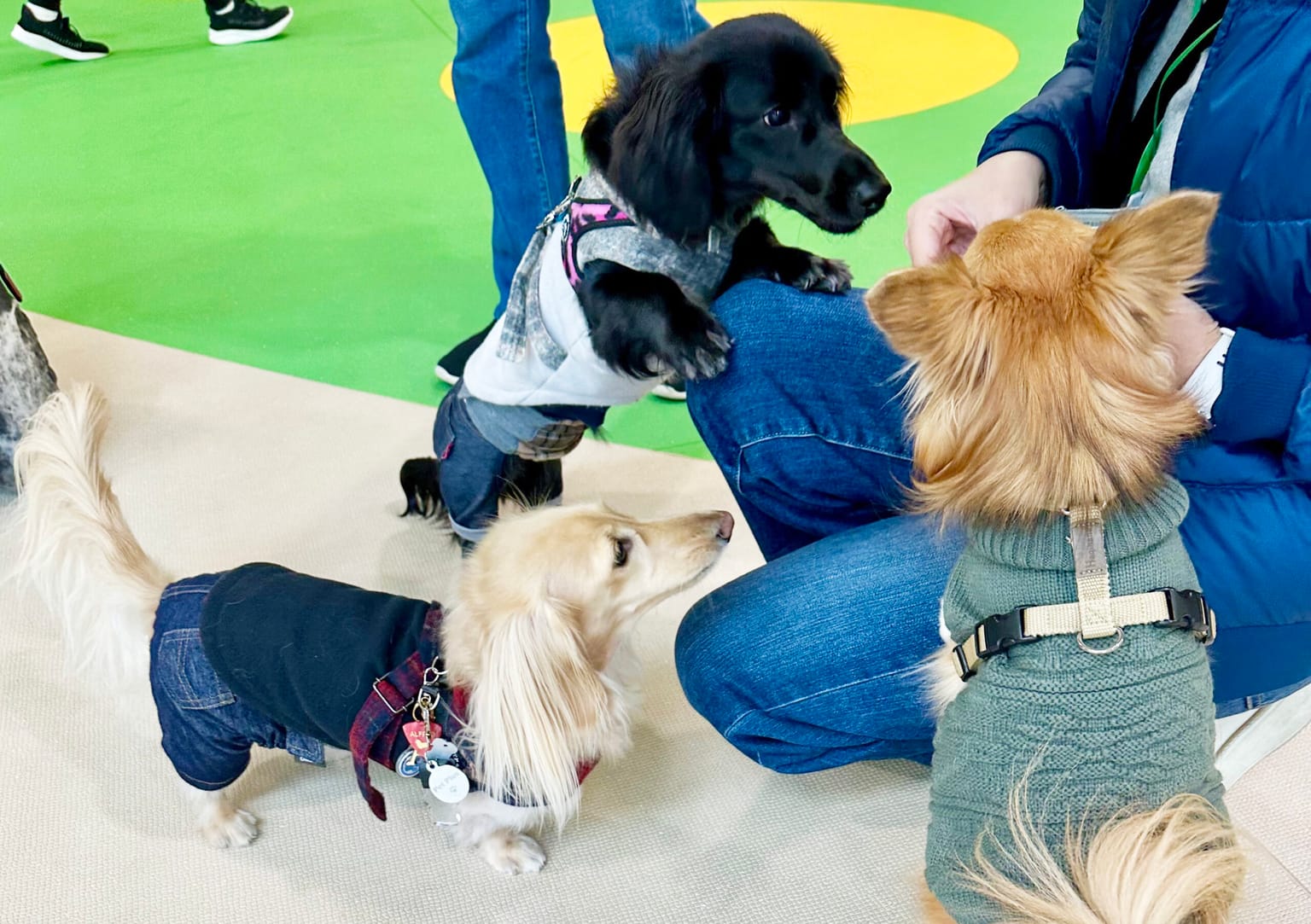 イベントアイキャッチ