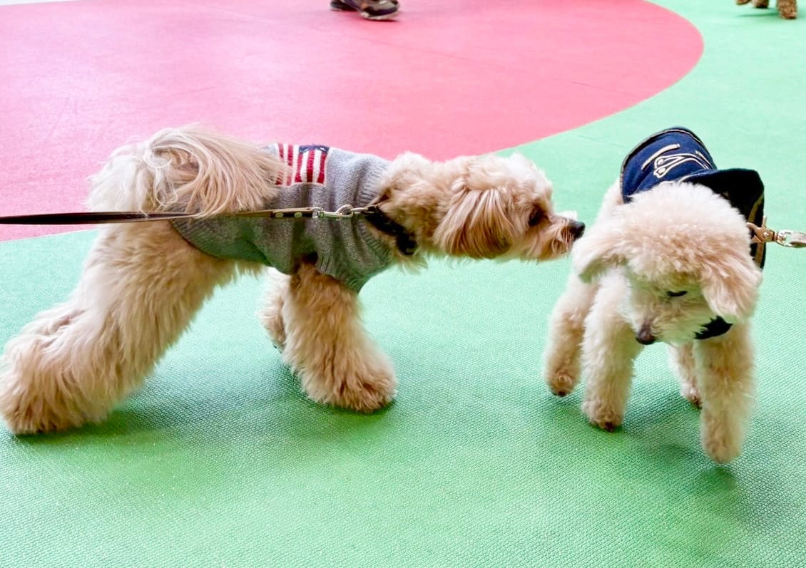 イベントアイキャッチ