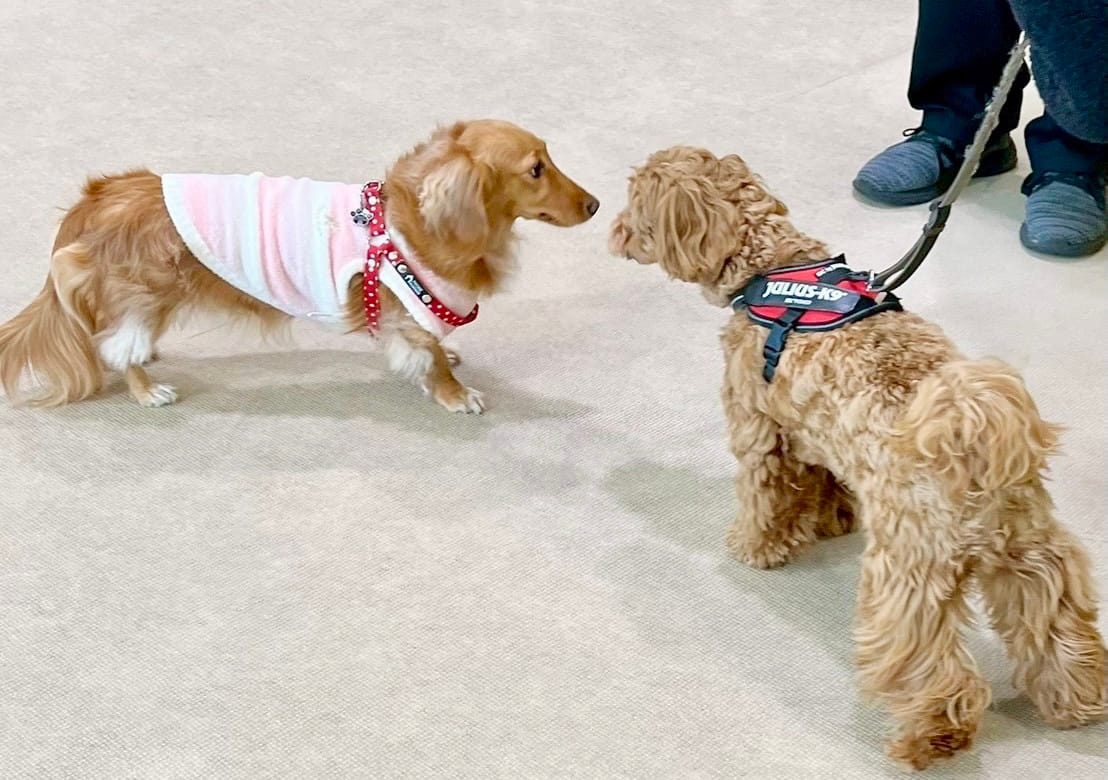 イベントアイキャッチ