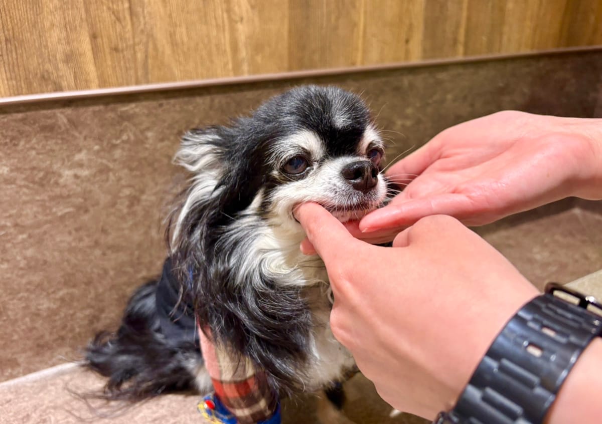 イベントアイキャッチ