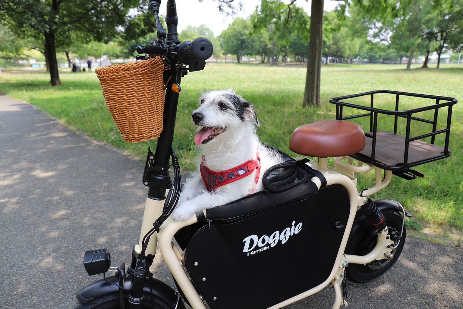 イベントアイキャッチ