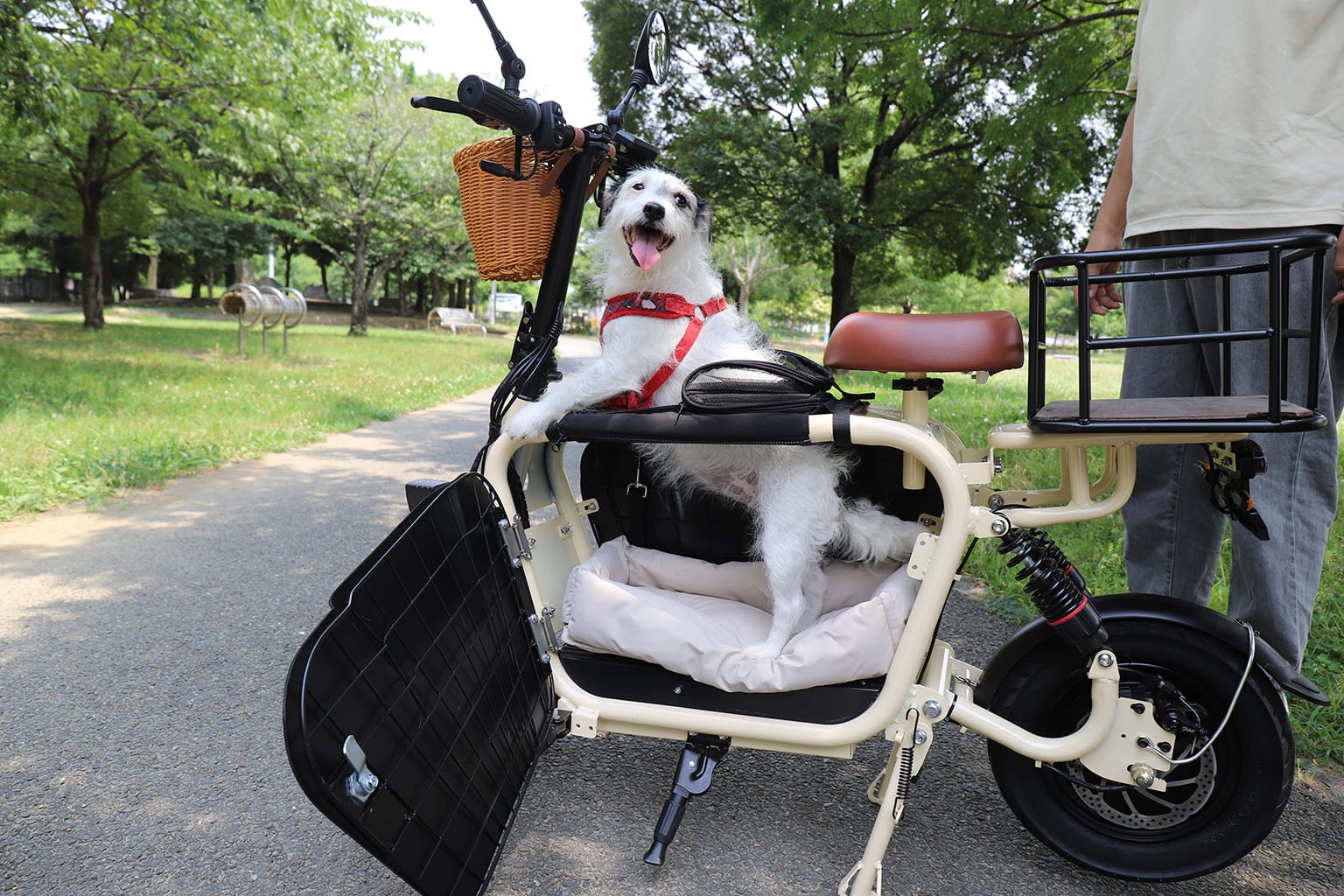 イベントアイキャッチ