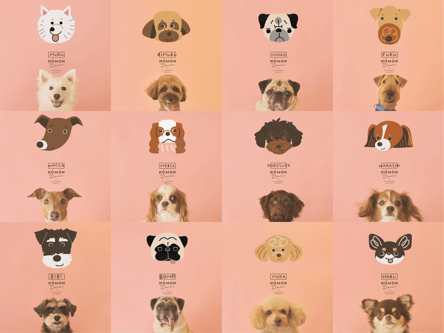 イベントアイキャッチ