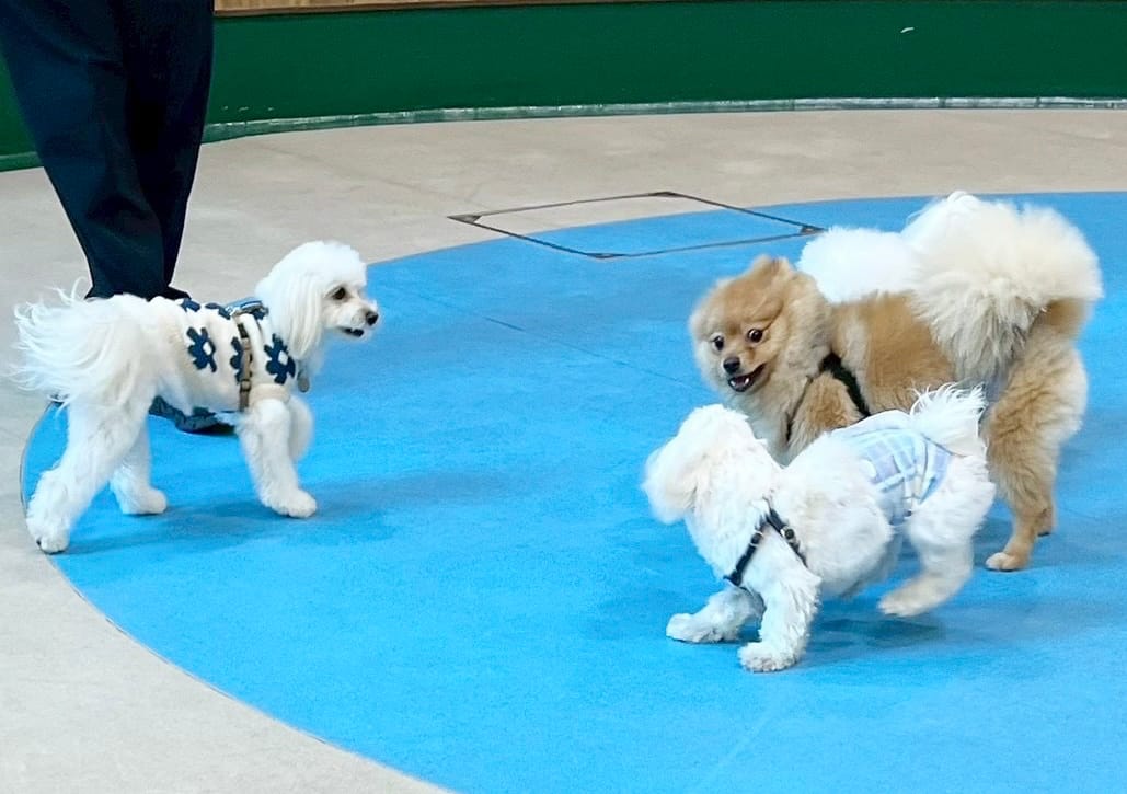 イベントアイキャッチ