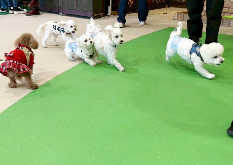 イベントアイキャッチ