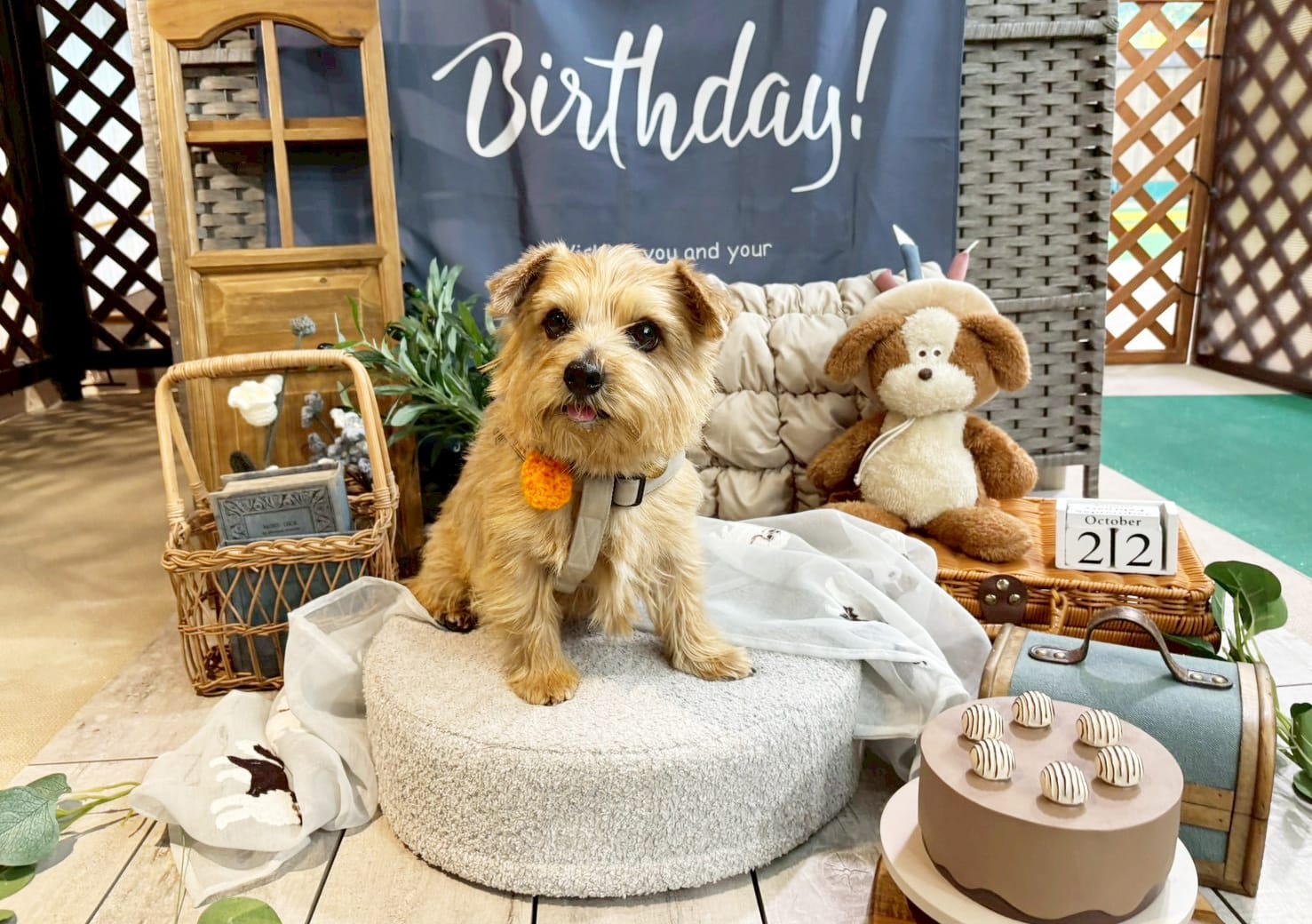 イベントアイキャッチ