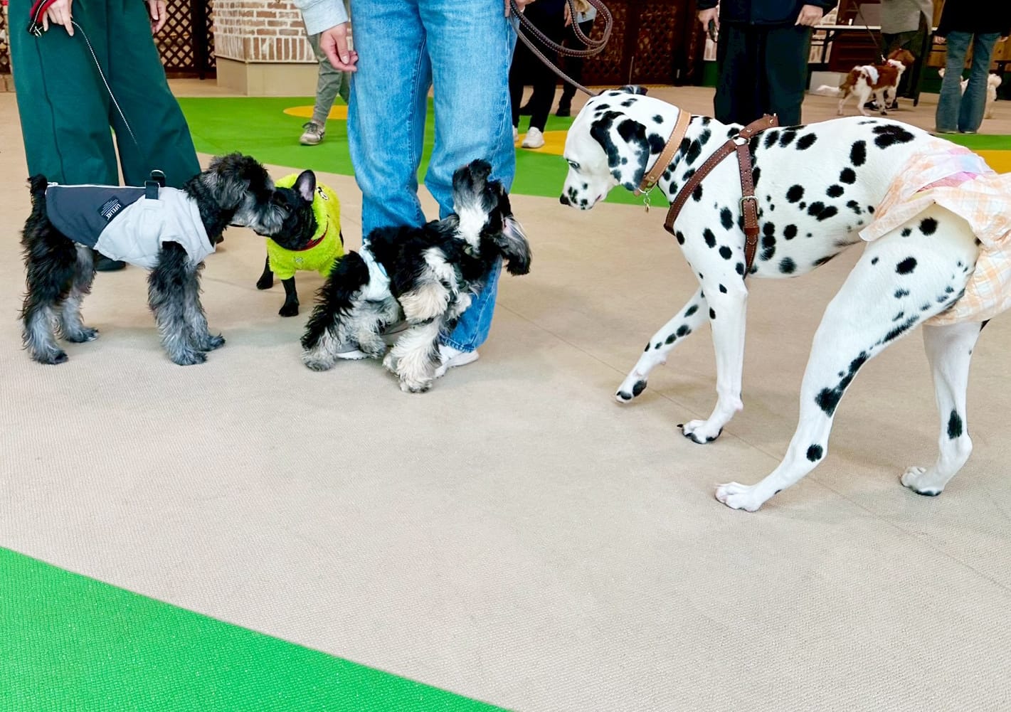 イベントアイキャッチ