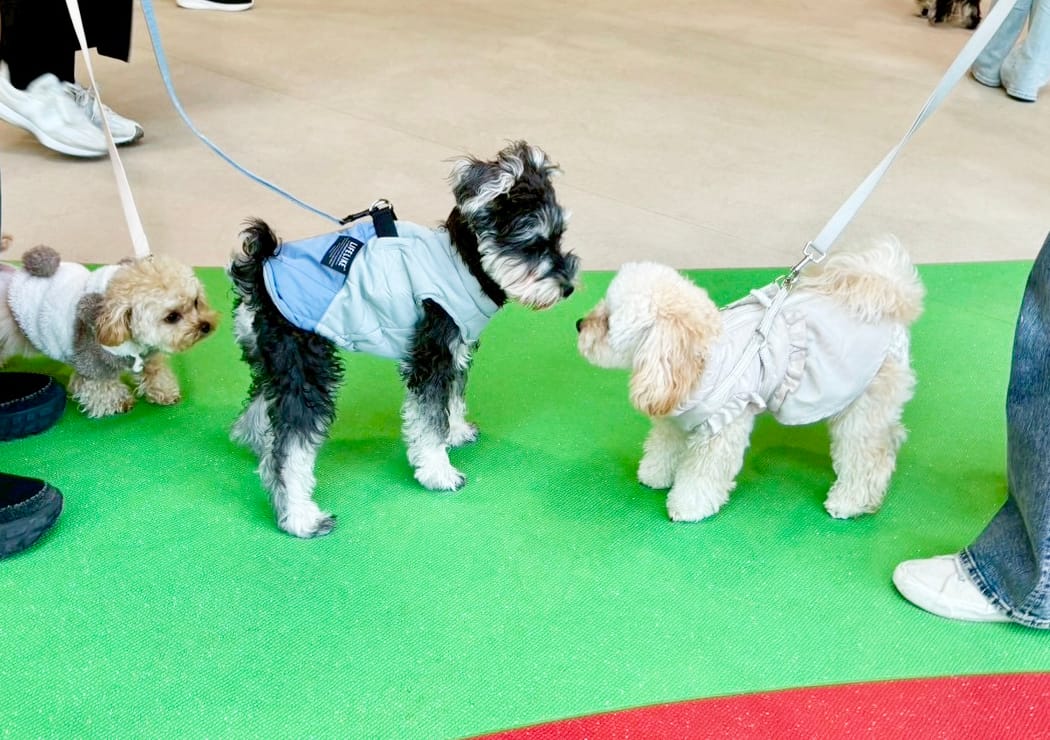 イベントアイキャッチ