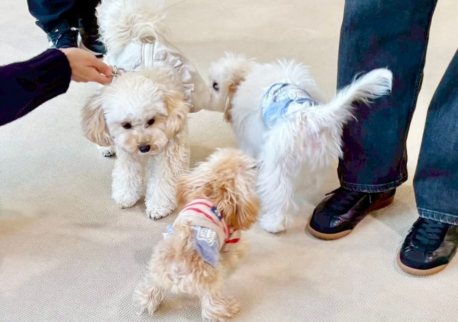 イベントアイキャッチ